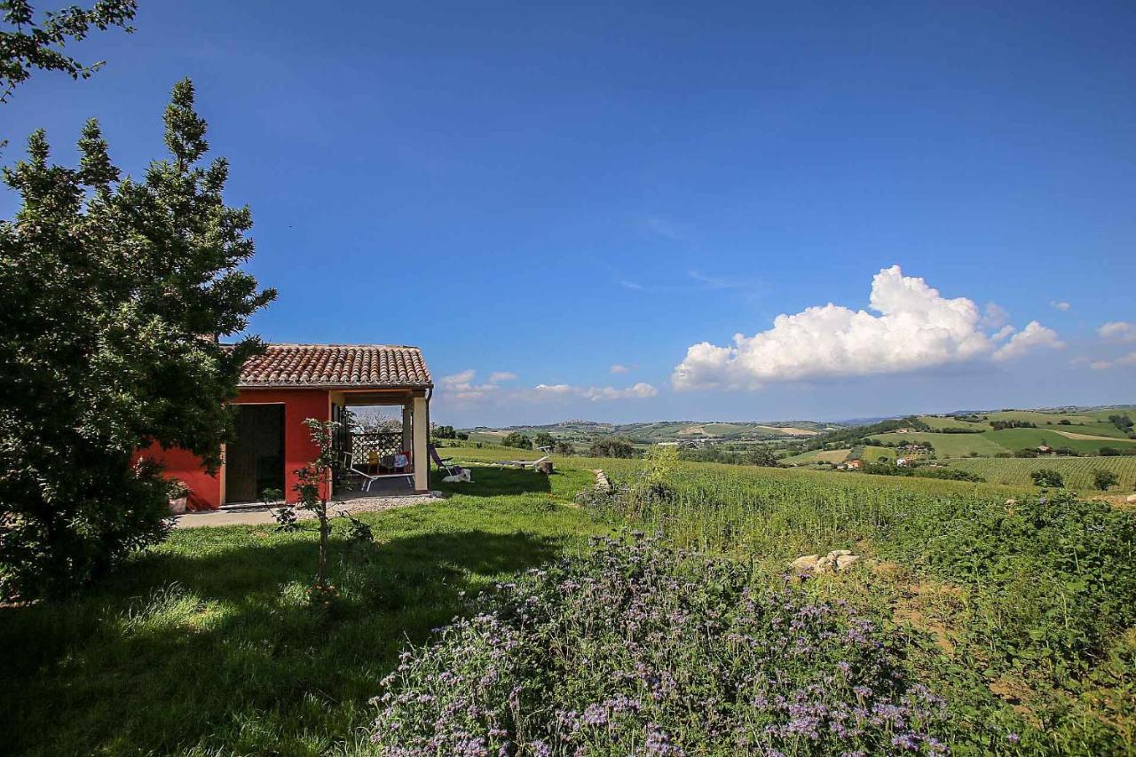 Villa La Chioccia Serra deʼ Conti Exterior foto